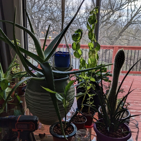 Happy 2025l! Thanks for supporting our small business!🌻🌈🥰💐🍄🎁🛍️💌 - Picture 15 of 17